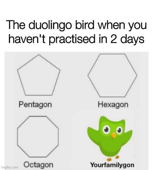 Meme | image tagged in doudolingo,oh no,apps,familly | made w/ Imgflip meme maker