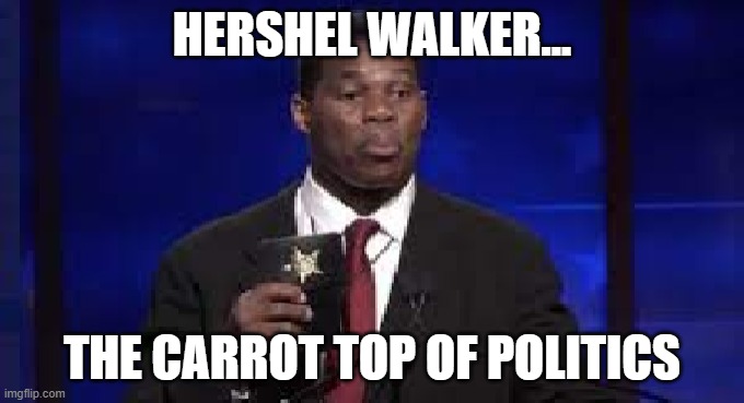 Hershel Walker Carrot Top | HERSHEL WALKER... THE CARROT TOP OF POLITICS | image tagged in hershel walker,funny memes,carrot top | made w/ Imgflip meme maker