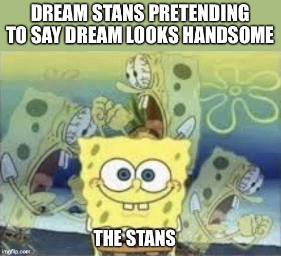 SpongeBob Is Internally Screaming | DREAM STANS PRETENDING TO SAY DREAM LOOKS HANDSOME; THE STANS | image tagged in spongebob is internally screaming | made w/ Imgflip meme maker