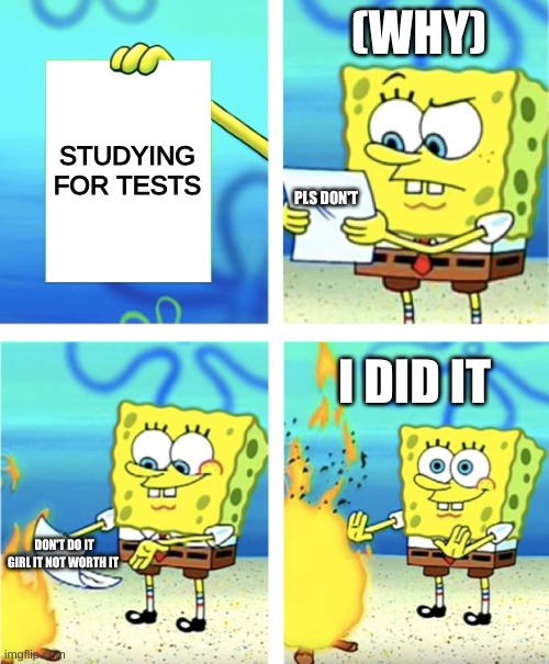 ......... | (WHY); STUDYING FOR TESTS; PLS DON'T; I DID IT; DON'T DO IT GIRL IT NOT WORTH IT | image tagged in spongebob burning paper | made w/ Imgflip meme maker