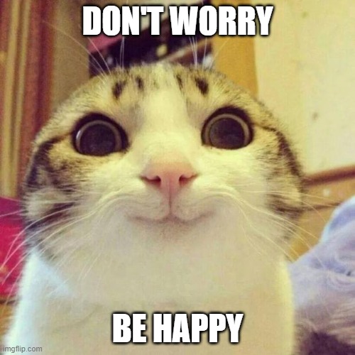 Smiling Cat Meme | DON'T WORRY; BE HAPPY | image tagged in memes,smiling cat | made w/ Imgflip meme maker