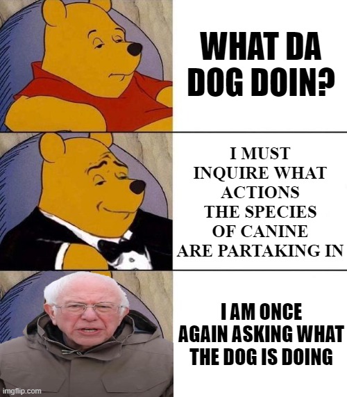 what he doing tho |  WHAT DA DOG DOIN? I MUST INQUIRE WHAT ACTIONS THE SPECIES OF CANINE ARE PARTAKING IN; I AM ONCE AGAIN ASKING WHAT THE DOG IS DOING | image tagged in best better blurst,bernie i am once again asking for your support,bernie sanders,what the dog doin,tuxedo winnie the pooh,memes | made w/ Imgflip meme maker