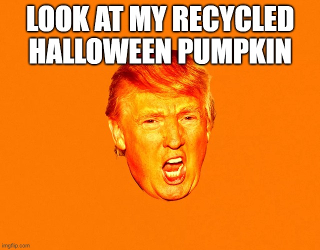 LOOK AT MY RECYCLED HALLOWEEN PUMPKIN | made w/ Imgflip meme maker