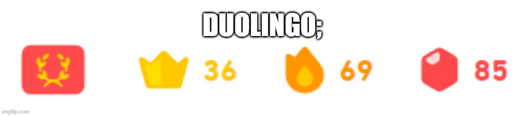 DUOLINGO; | made w/ Imgflip meme maker