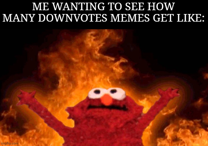 I just think that it would be an interesting feature. | ME WANTING TO SEE HOW MANY DOWNVOTES MEMES GET LIKE: | image tagged in elmo fire,imgflip,downvote | made w/ Imgflip meme maker