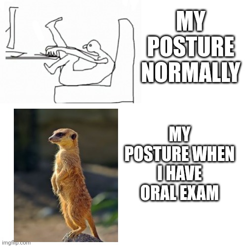 Anyone else? | MY POSTURE NORMALLY; MY POSTURE WHEN I HAVE ORAL EXAM | image tagged in memes,blank transparent square,idk,exams | made w/ Imgflip meme maker