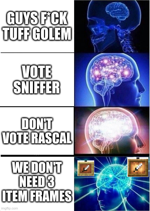 Expanding Brain Meme | GUYS F*CK TUFF GOLEM; VOTE SNIFFER; DON'T VOTE RASCAL; WE DON'T NEED 3 ITEM FRAMES | image tagged in memes,expanding brain | made w/ Imgflip meme maker