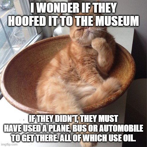Wondering cat | I WONDER IF THEY HOOFED IT TO THE MUSEUM IF THEY DIDN'T, THEY MUST HAVE USED A PLANE, BUS OR AUTOMOBILE TO GET THERE. ALL OF WHICH USE OIL. | image tagged in wondering cat | made w/ Imgflip meme maker
