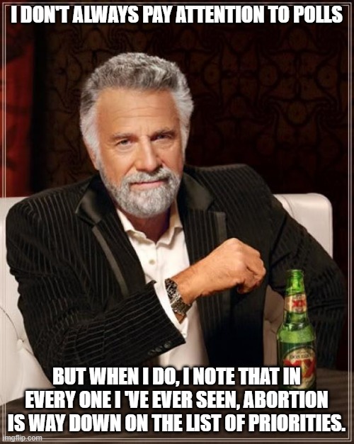 The Most Interesting Man In The World Meme | I DON'T ALWAYS PAY ATTENTION TO POLLS BUT WHEN I DO, I NOTE THAT IN EVERY ONE I 'VE EVER SEEN, ABORTION IS WAY DOWN ON THE LIST OF PRIORITIE | image tagged in memes,the most interesting man in the world | made w/ Imgflip meme maker