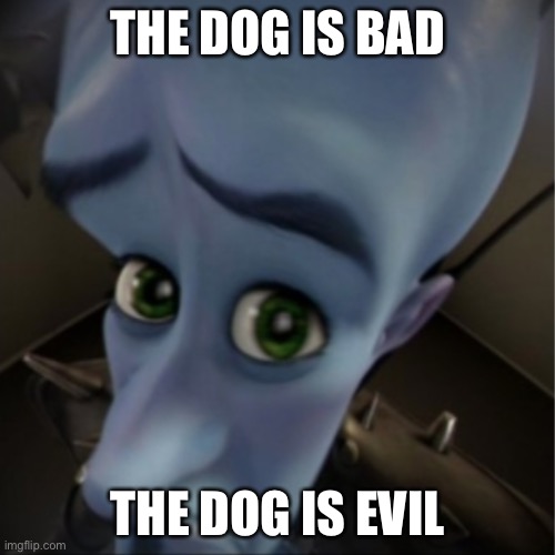 The dog is evil | THE DOG IS BAD; THE DOG IS EVIL | image tagged in megamind peeking | made w/ Imgflip meme maker