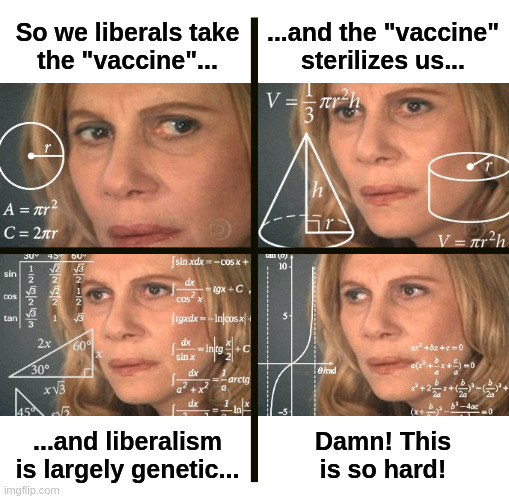 High IQ Liberal |  So we liberals take
the "vaccine"... ...and the "vaccine"
sterilizes us... ...and liberalism
is largely genetic... Damn! This
is so hard! | image tagged in democrats,liberals,covid,vaccine,sterilize,genocide | made w/ Imgflip meme maker