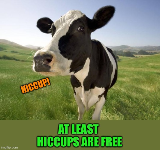 cow | HICCUP! AT LEAST
 HICCUPS ARE FREE | image tagged in cow | made w/ Imgflip meme maker