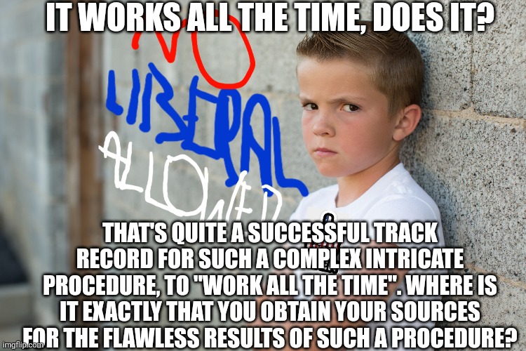 IT WORKS ALL THE TIME, DOES IT? THAT'S QUITE A SUCCESSFUL TRACK RECORD FOR SUCH A COMPLEX INTRICATE PROCEDURE, TO "WORK ALL THE TIME". WHERE | made w/ Imgflip meme maker