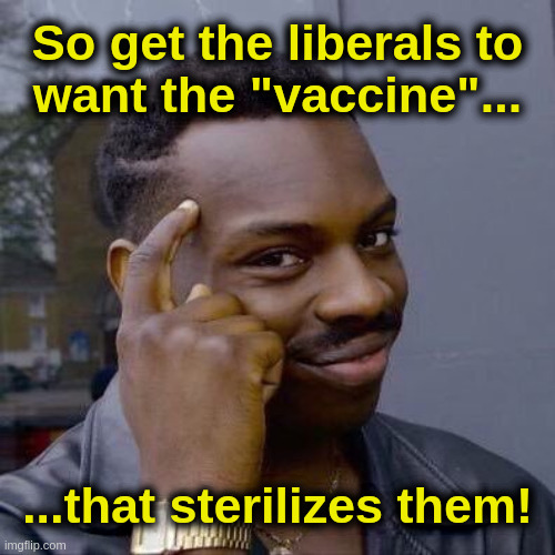 The New New World Order | So get the liberals to
want the "vaccine"... ...that sterilizes them! | image tagged in democrats,liberals,covid,vaccine,sterilize,genocide | made w/ Imgflip meme maker
