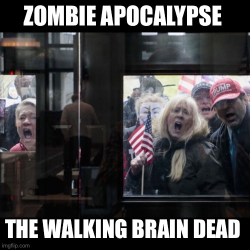 Trump Michigan Protesters | ZOMBIE APOCALYPSE; THE WALKING BRAIN DEAD | image tagged in trump michigan protesters | made w/ Imgflip meme maker