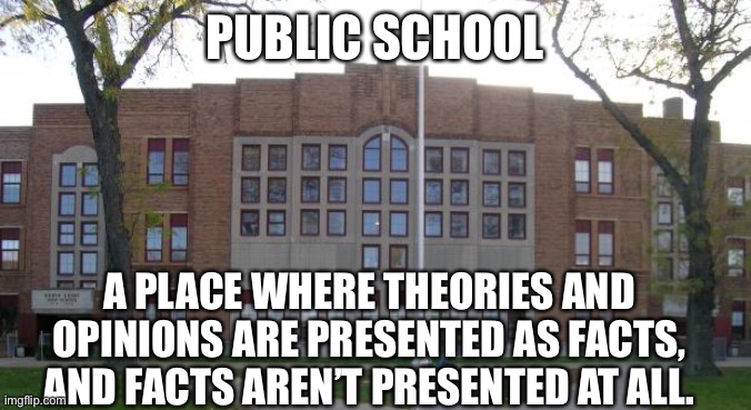 High School | PUBLIC SCHOOL; A PLACE WHERE THEORIES AND OPINIONS ARE PRESENTED AS FACTS, AND FACTS AREN’T PRESENTED AT ALL. | image tagged in high school | made w/ Imgflip meme maker