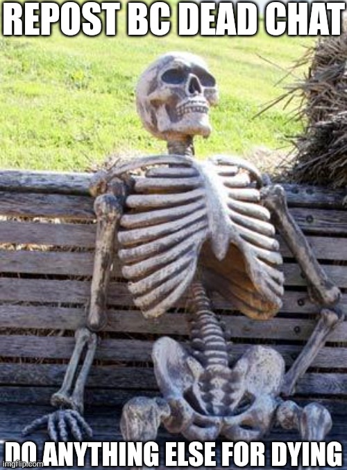 Waiting Skeleton | REPOST BC DEAD CHAT; DO ANYTHING ELSE FOR DYING | image tagged in memes,waiting skeleton | made w/ Imgflip meme maker