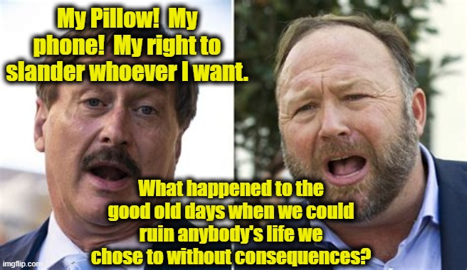 Conspiracy Meltdown | My Pillow!  My phone!  My right to slander whoever I want. What happened to the good old days when we could ruin anybody's life we chose to without consequences? | image tagged in pillow,right wing,maga,conspiracy theory,it's a conspiracy,donald trump approves | made w/ Imgflip meme maker