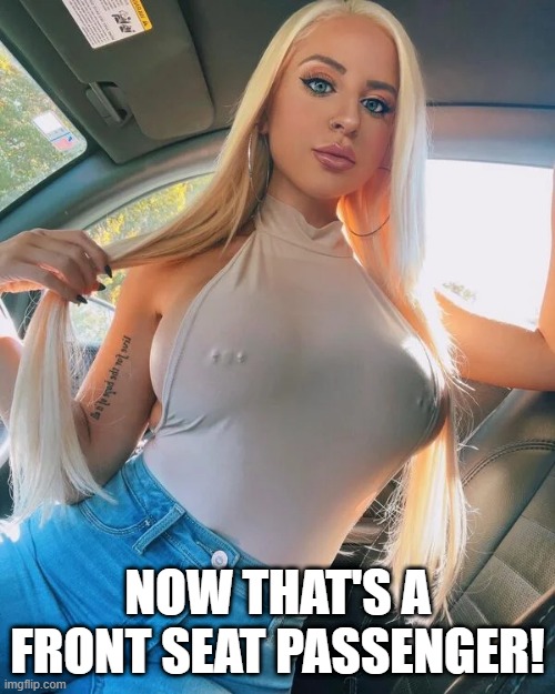 Sit Next to Me | NOW THAT'S A FRONT SEAT PASSENGER! | image tagged in boobs | made w/ Imgflip meme maker