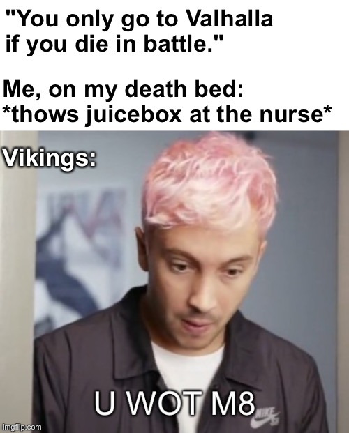 Beat the system | "You only go to Valhalla if you die in battle."; Me, on my death bed: *thows juicebox at the nurse*; Vikings: | image tagged in tyler joseph u wot m8,memes,unfunny | made w/ Imgflip meme maker