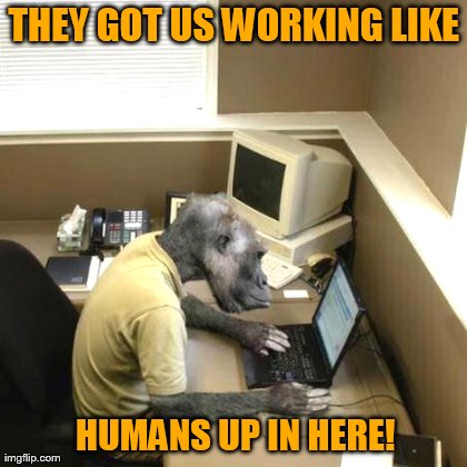 Monkey Business | image tagged in memes,monkey business | made w/ Imgflip meme maker