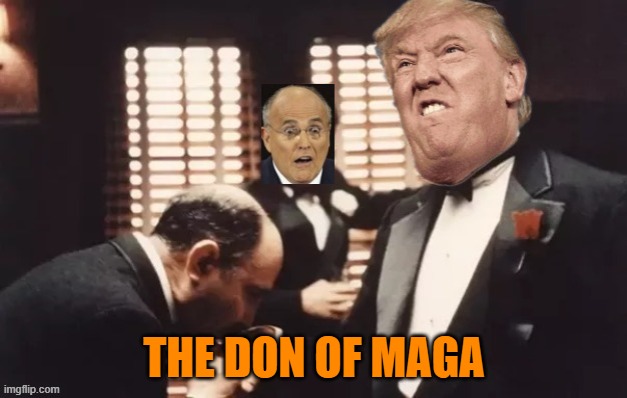 Mafia Don | THE DON OF MAGA | image tagged in mafia don | made w/ Imgflip meme maker