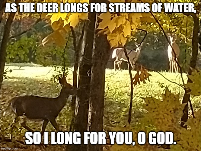 I Long for God | AS THE DEER LONGS FOR STREAMS OF WATER, SO I LONG FOR YOU, O GOD. | image tagged in god,peace | made w/ Imgflip meme maker