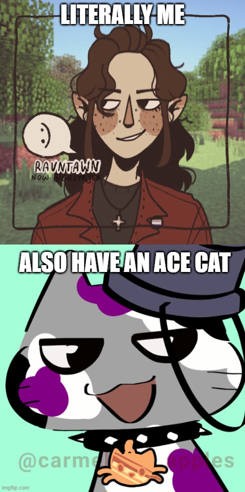 i lost the dam links | LITERALLY ME; ALSO HAVE AN ACE CAT | made w/ Imgflip meme maker