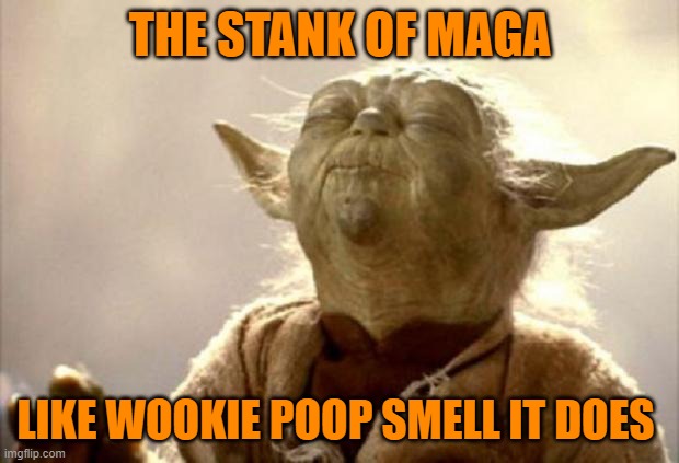 yoda smell | THE STANK OF MAGA LIKE WOOKIE POOP SMELL IT DOES | image tagged in yoda smell | made w/ Imgflip meme maker