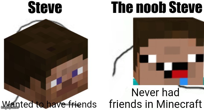 Wanted to have friends in Minecraft | Wanted to have friends; Never had friends in Minecraft | image tagged in the noob steve,minecraft,memes,minecraft memes,the cooler daniel,funny | made w/ Imgflip meme maker