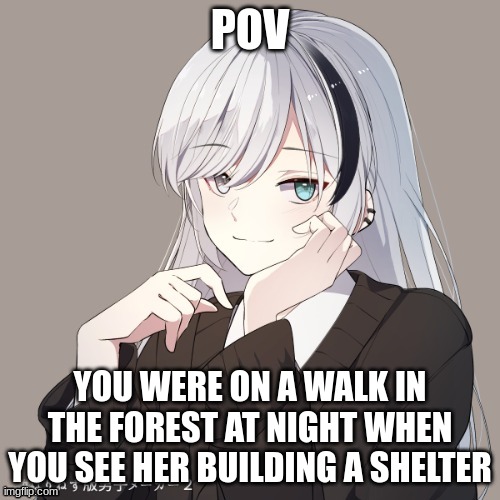 Friendship or romance, rules in tags | POV; YOU WERE ON A WALK IN THE FOREST AT NIGHT WHEN YOU SEE HER BUILDING A SHELTER | image tagged in no joke or bambi ocs,no erp,no killing her,no military ocs,if romance males preferred but any genderis allowed | made w/ Imgflip meme maker