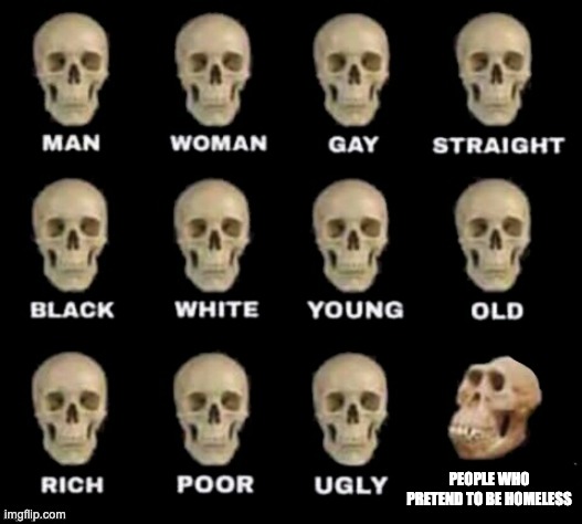 idiot skull | PEOPLE WHO PRETEND TO BE HOMELESS | image tagged in idiot skull | made w/ Imgflip meme maker