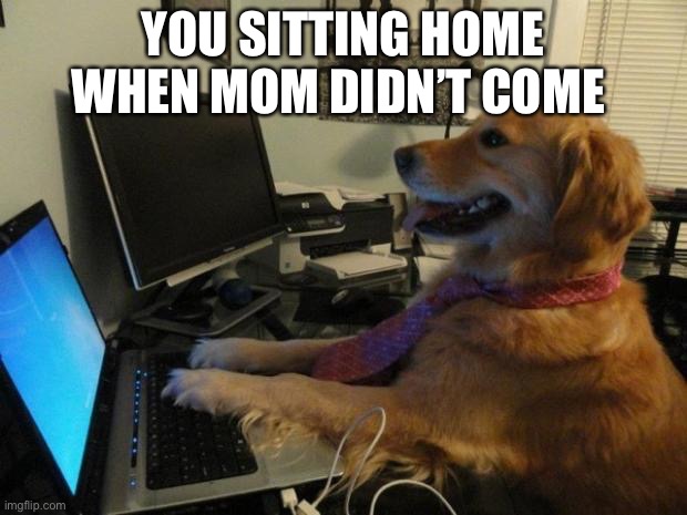 Dog behind a computer | YOU SITTING HOME WHEN MOM DIDN’T COME | image tagged in dog behind a computer | made w/ Imgflip meme maker