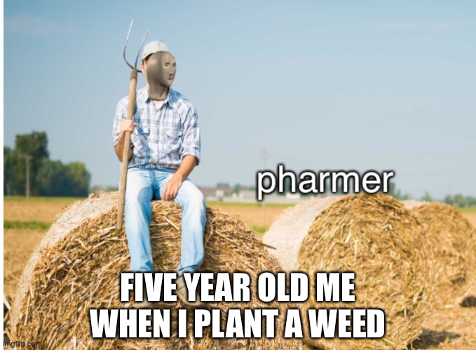 Meme man pharmer | FIVE YEAR OLD ME WHEN I PLANT A WEED | image tagged in meme man pharmer | made w/ Imgflip meme maker