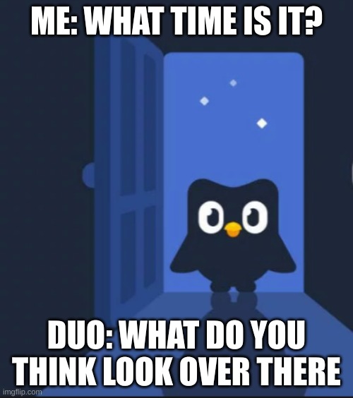 i am done | ME: WHAT TIME IS IT? DUO: WHAT DO YOU THINK LOOK OVER THERE | image tagged in duolingo bird | made w/ Imgflip meme maker