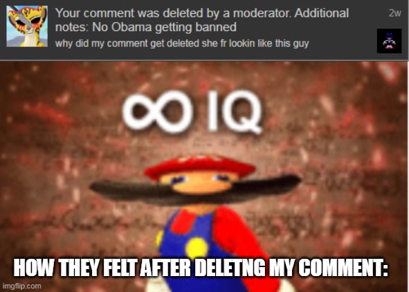 HOW THEY FELT AFTER DELETNG MY COMMENT: | image tagged in infinite iq,yeah this is big brain time | made w/ Imgflip meme maker