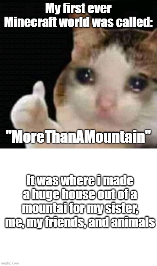 memories comin back |  My first ever Minecraft world was called:; "MoreThanAMountain"; It was where i made a huge house out of a mountai for my sister, me, my friends, and animals | image tagged in sad thumbs up cat,blank white template | made w/ Imgflip meme maker
