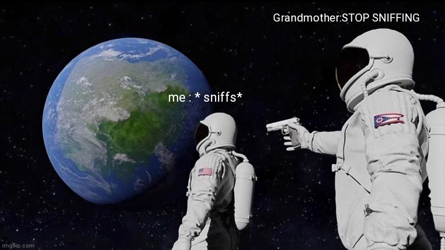 Relateble??? | Grandmother:STOP SNIFFING; me : * sniffs* | image tagged in memes,always has been | made w/ Imgflip meme maker