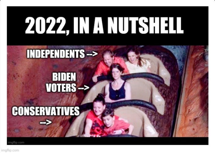 Unhappy Vote | image tagged in liberals,leftists,millennials,democrats,midterms,biden | made w/ Imgflip meme maker