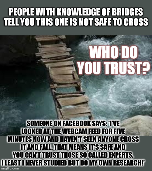 Who do you trust? | PEOPLE WITH KNOWLEDGE OF BRIDGES TELL YOU THIS ONE IS NOT SAFE TO CROSS; WHO DO YOU TRUST? SOMEONE ON FACEBOOK SAYS: 'I'VE LOOKED AT THE WEBCAM FEED FOR FIVE MINUTES NOW AND HAVEN'T SEEN ANYONE CROSS IT AND FALL. THAT MEANS IT'S SAFE AND YOU CAN'T TRUST THOSE SO CALLED EXPERTS. I LEAST I NEVER STUDIED BUT DO MY OWN RESEARCH!' | image tagged in expert,science,my facebook friend,bridge,research | made w/ Imgflip meme maker
