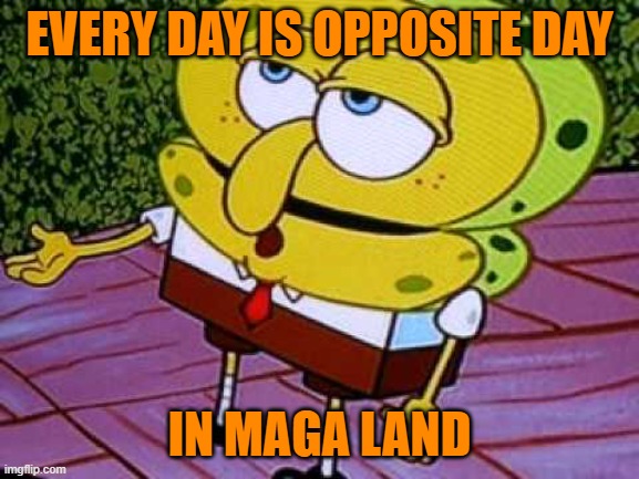 Opposite Day Spongebob | EVERY DAY IS OPPOSITE DAY IN MAGA LAND | image tagged in opposite day spongebob | made w/ Imgflip meme maker