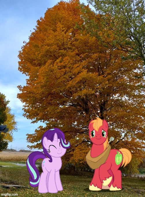 image tagged in my little pony friendship is magic,in real life | made w/ Imgflip meme maker