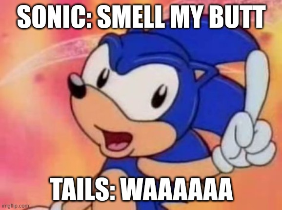 smell my butt | SONIC: SMELL MY BUTT; TAILS: WAAAAAA | image tagged in sonic sez | made w/ Imgflip meme maker