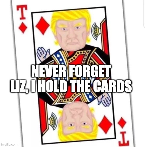 Trump card - rohb/rupe | NEVER FORGET LIZ, I HOLD THE CARDS | image tagged in trump,donald trump,trump card,liz cheney | made w/ Imgflip meme maker