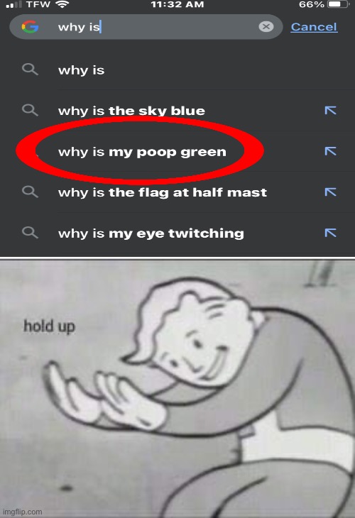 Woah | image tagged in fallout hold up | made w/ Imgflip meme maker