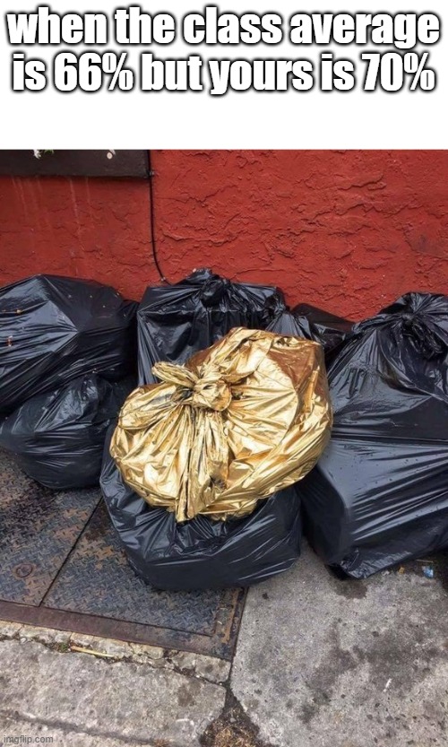 Golden Trash Bag | when the class average is 66% but yours is 70% | image tagged in golden trash bag | made w/ Imgflip meme maker