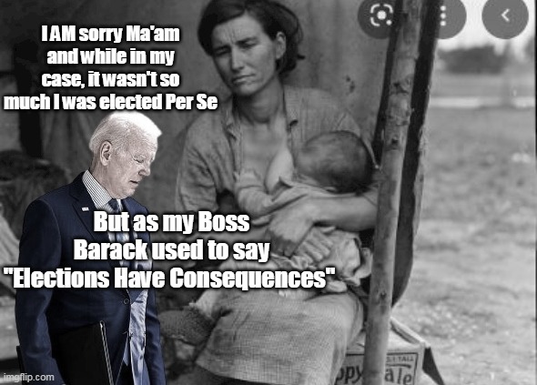Brandon "BACK TO THE FUTURE" 1929 | I AM sorry Ma'am and while in my case, it wasn't so much I was elected Per Se; But as my Boss Barack used to say
"Elections Have Consequences" | image tagged in sad part the depression isnt the half of it | made w/ Imgflip meme maker