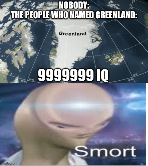 I mean seriously. | 9999999 IQ; NOBODY:
THE PEOPLE WHO NAMED GREENLAND: | image tagged in lol,it happens,but why tho | made w/ Imgflip meme maker