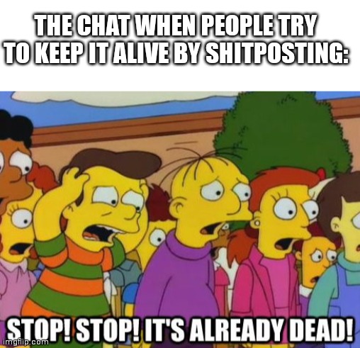 THE CHAT WHEN PEOPLE TRY TO KEEP IT ALIVE BY SHITPOSTING: | image tagged in blank white template,stop stop it's already dead | made w/ Imgflip meme maker