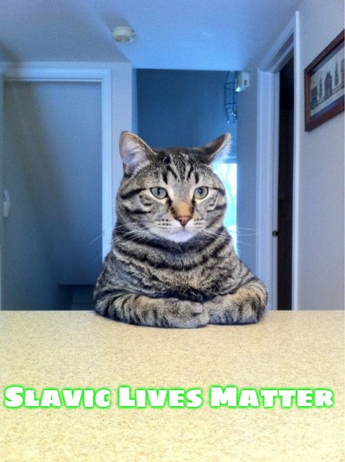 Take A Seat Cat | Slavic Lives Matter | image tagged in memes,take a seat cat,slavic | made w/ Imgflip meme maker
